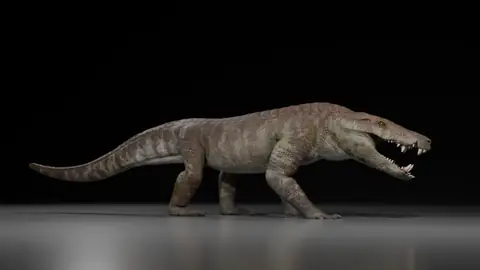 New Fossil Reveals Dinosaur-Hunting Crocodile Ancestor