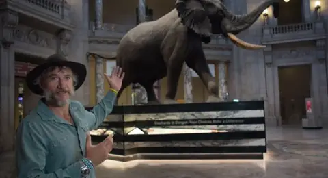 Werner Herzog’s New Documentary “Ghost Elephants” Searches for the World’s Largest Elephants